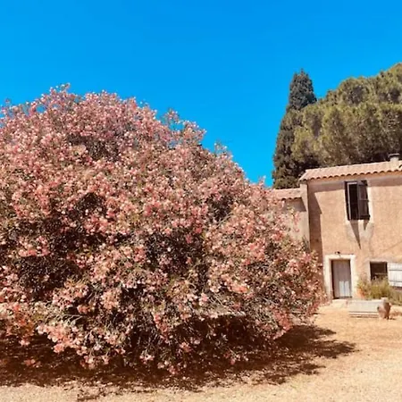 Ferienhaus Casa Cote Sud - Mas Bois Fontaine Nîmes