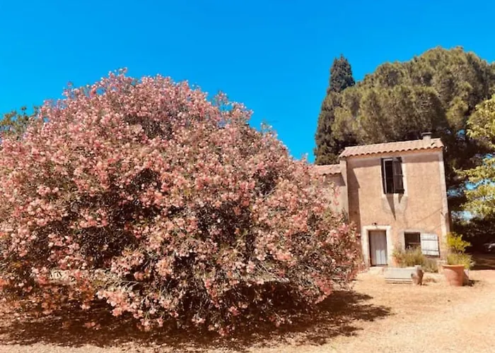 Hébergement de vacances Casa Cote Sud - Mas Bois Fontaine Nîmes
